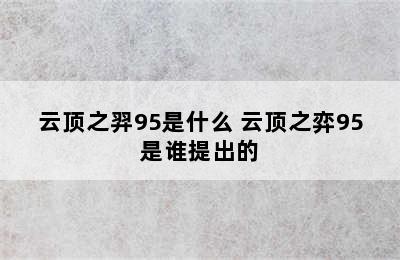 云顶之羿95是什么 云顶之弈95是谁提出的